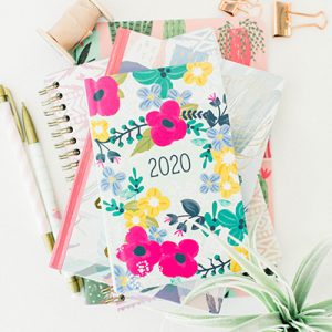 Public, Followers, Subscribers: Loyalfans Timeline Post Options Blog