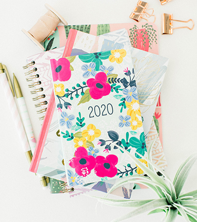 Public, Followers, Subscribers: Loyalfans Timeline Post Options Blog